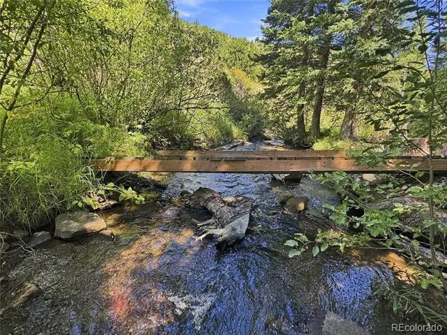 103 Forest Haven Lane Idaho Springs, CO 80452