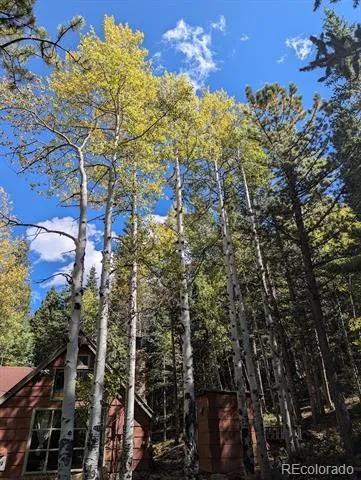 103 Forest Haven Lane Idaho Springs, CO 80452