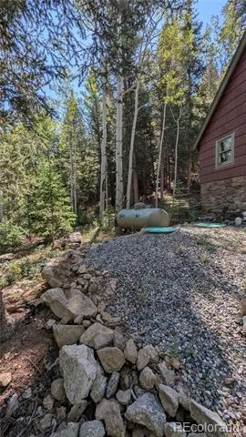 103 Forest Haven Lane Idaho Springs, CO 80452