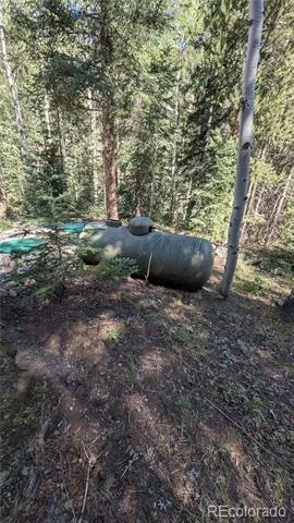 103 Forest Haven Lane Idaho Springs, CO 80452