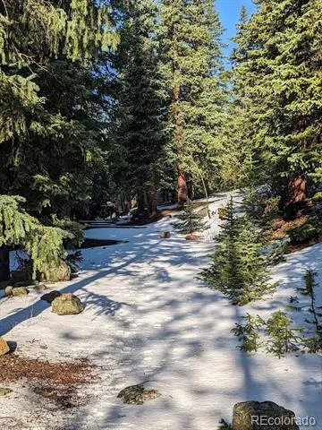 103 Forest Haven Lane Idaho Springs, CO 80452