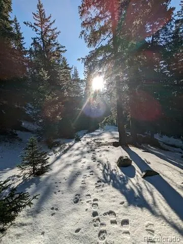 103 Forest Haven Lane Idaho Springs, CO 80452