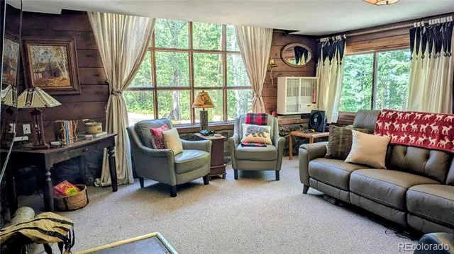 103 Forest Haven Lane Idaho Springs, CO 80452
