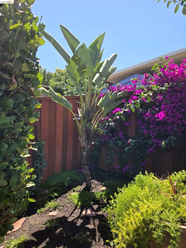125 Paulette Way Antioch, CA 94509
