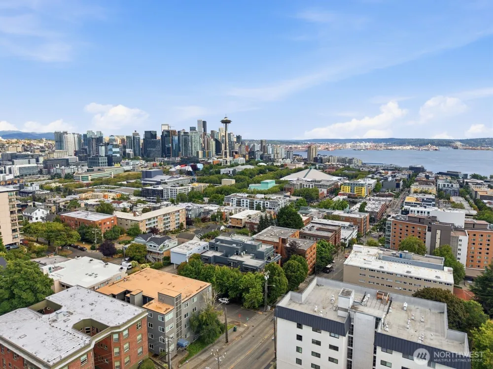 1 Ward Street #3 Seattle, WA 98109