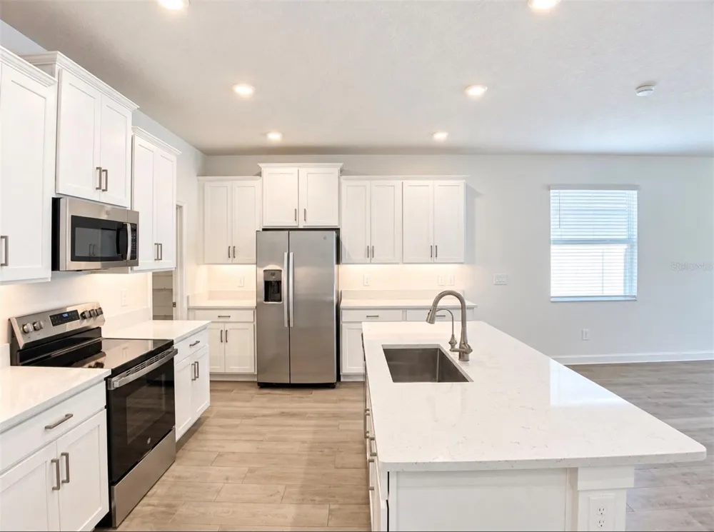 10060 BANYAN BREEZE BOULEVARD Land O Lakes, FL 34638