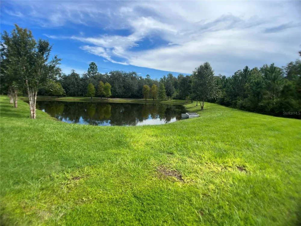 10060 BANYAN BREEZE BOULEVARD Land O Lakes, FL 34638