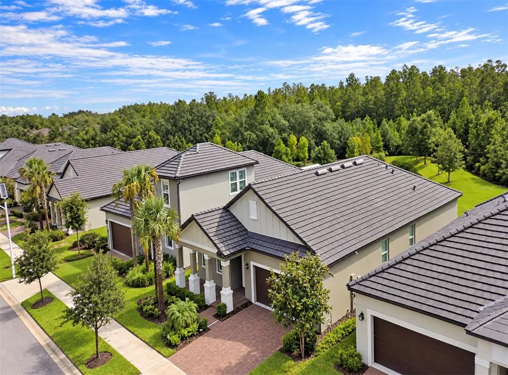10060 BANYAN BREEZE BOULEVARD Land O Lakes, FL 34638