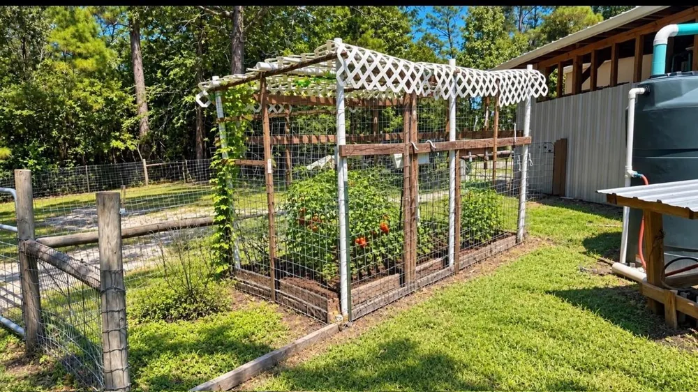 370 Stage Coach Road Coldspring, TX 77331