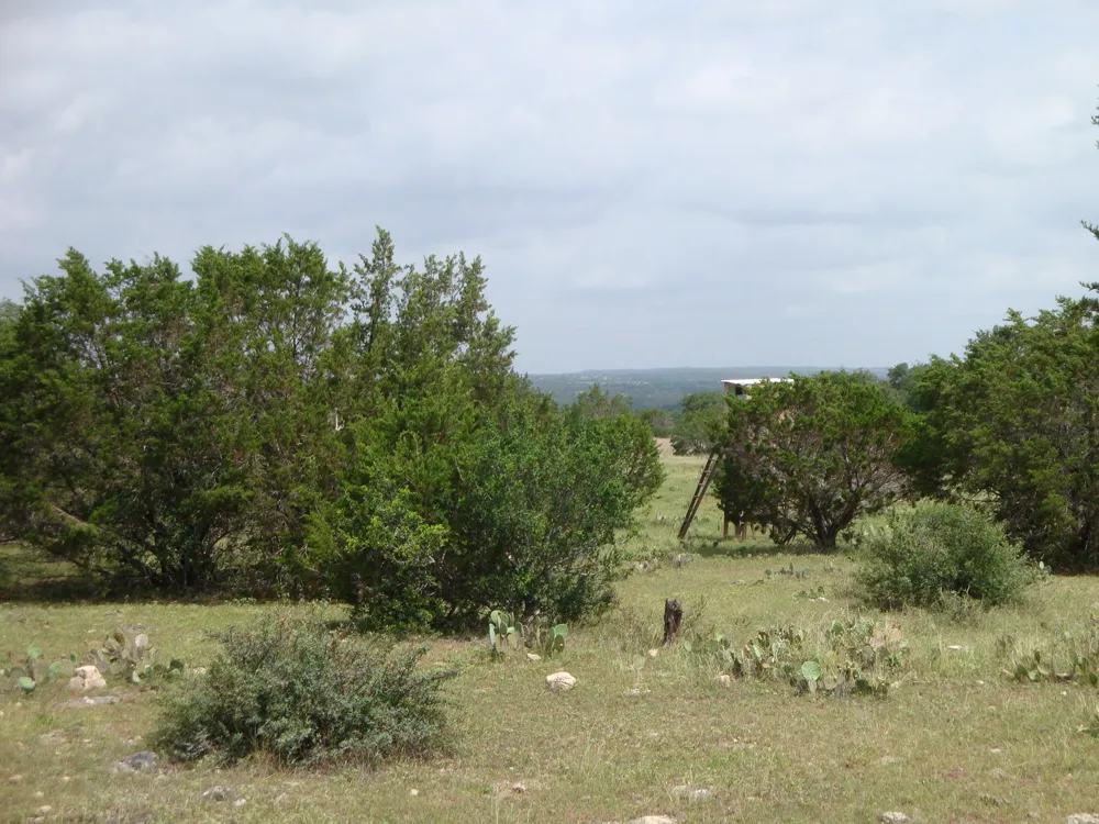 1619 Althaus Ranch Road Johnson City, TX 78636