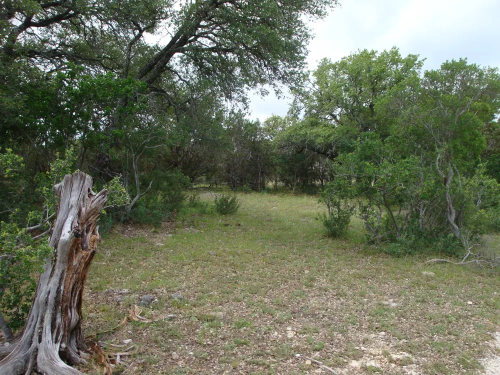 1619 Althaus Ranch Road Johnson City, TX 78636