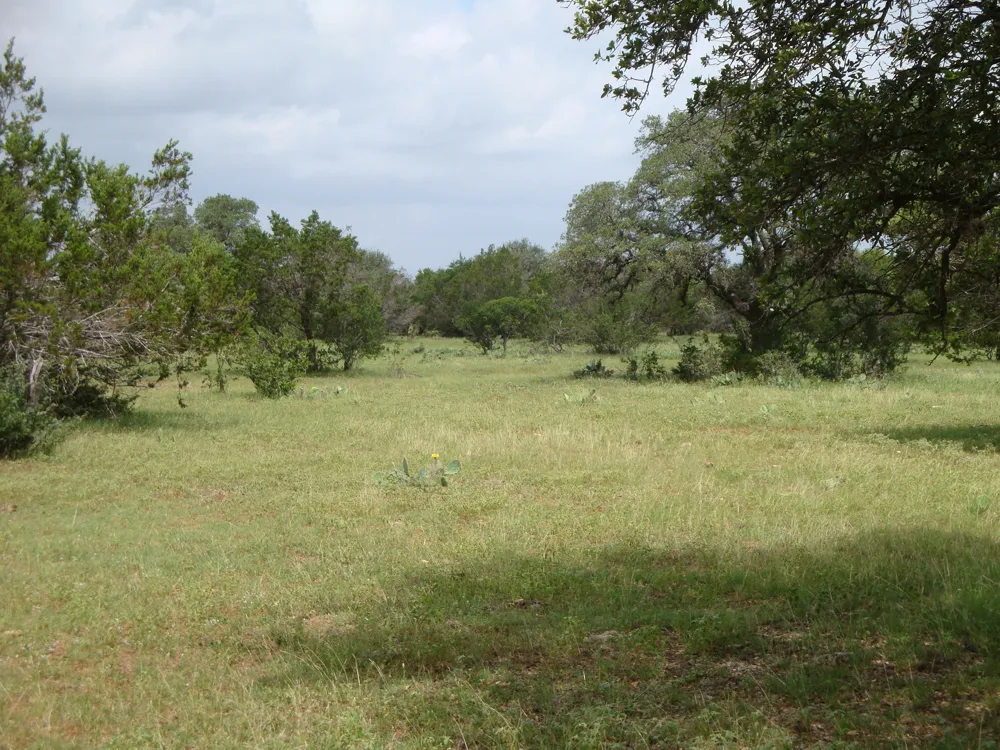 1619 Althaus Ranch Road Johnson City, TX 78636