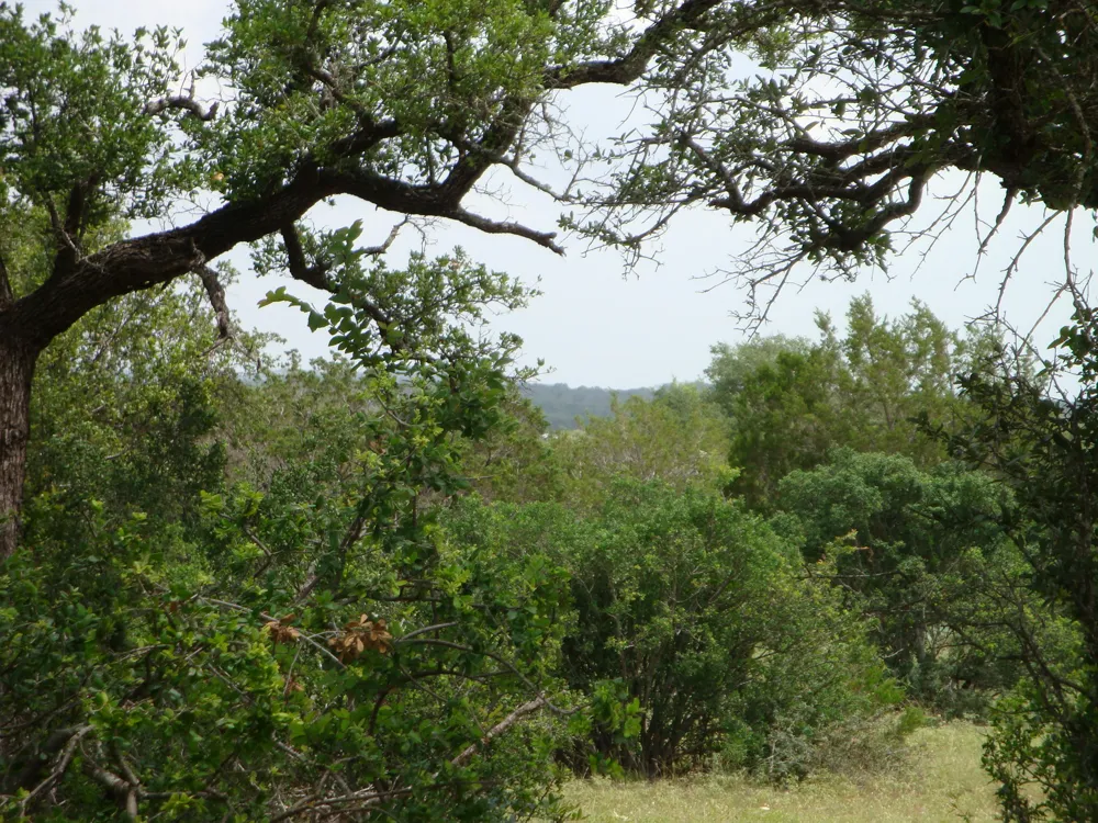 1619 Althaus Ranch Road Johnson City, TX 78636