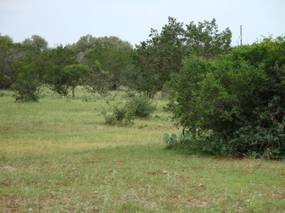 1619 Althaus Ranch Road Johnson City, TX 78636