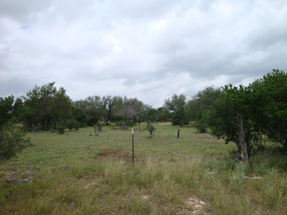 1619 Althaus Ranch Road Johnson City, TX 78636