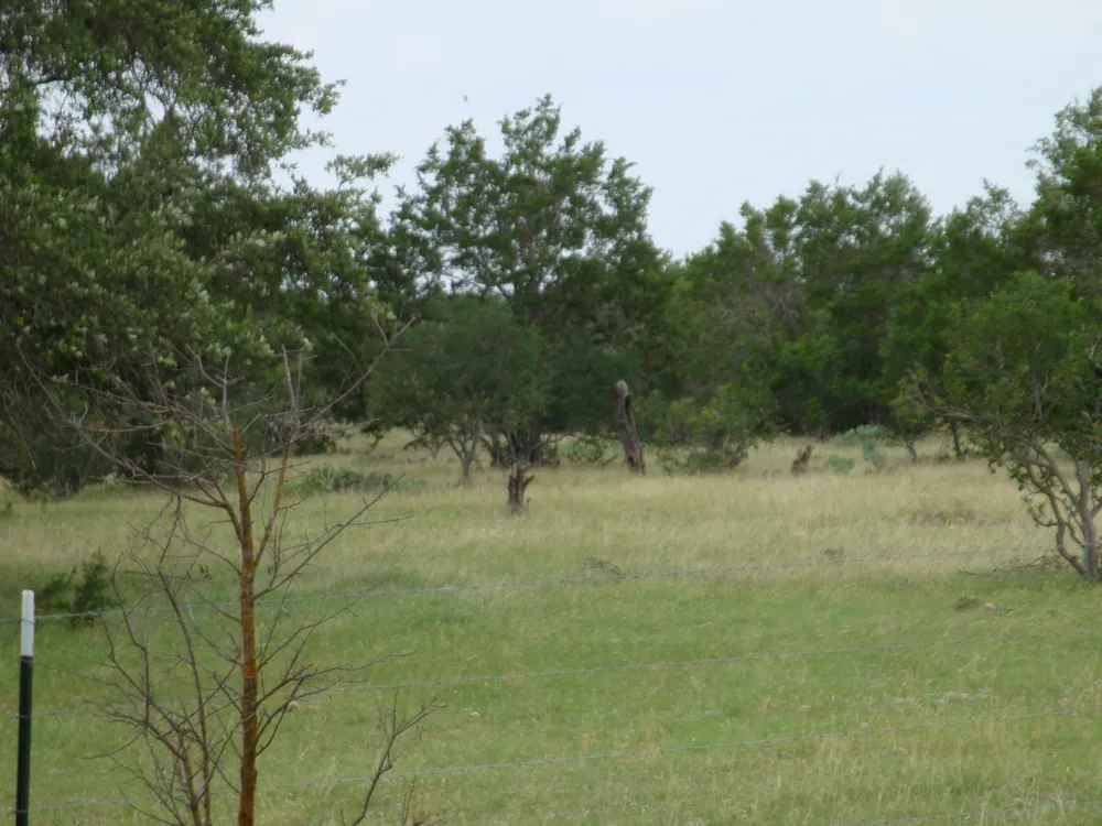 1619 Althaus Ranch Road Johnson City, TX 78636