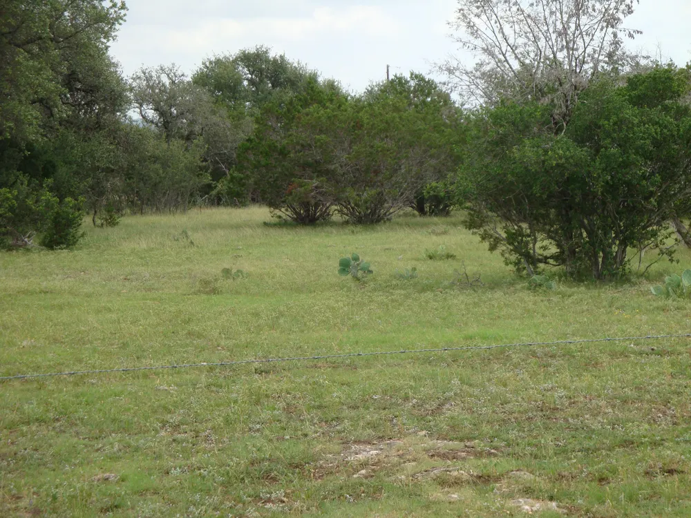 1619 Althaus Ranch Road Johnson City, TX 78636