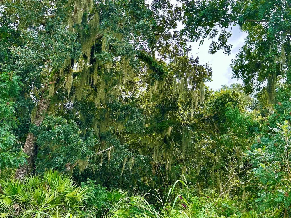 2333 FARNHAM DR Ocoee, FL 34761