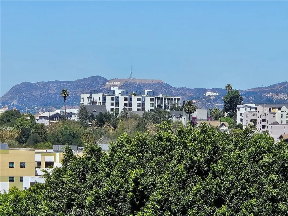121 S Hope Street #428 Los Angeles, CA 90012