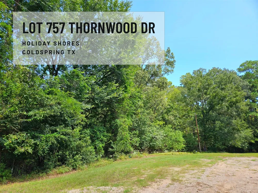 757 Thornwood Drive Coldspring, TX 77331