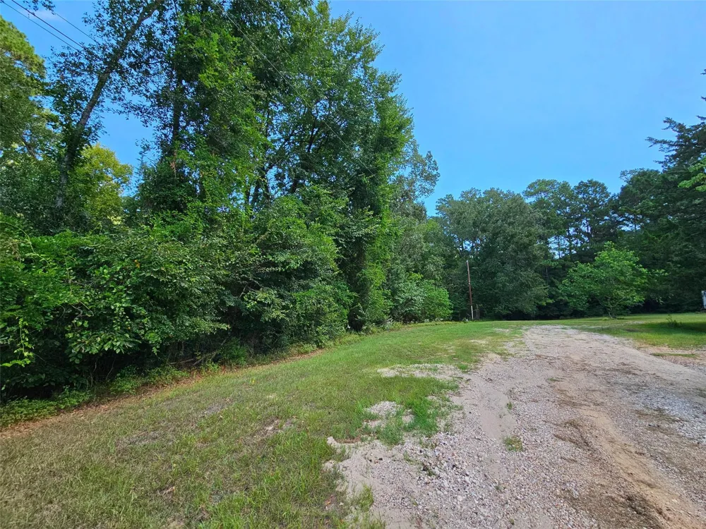 757 Thornwood Drive Coldspring, TX 77331