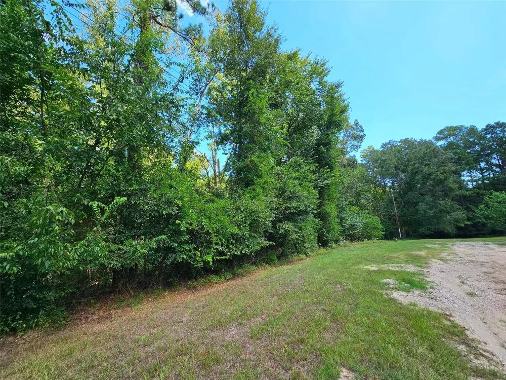 757 Thornwood Drive Coldspring, TX 77331