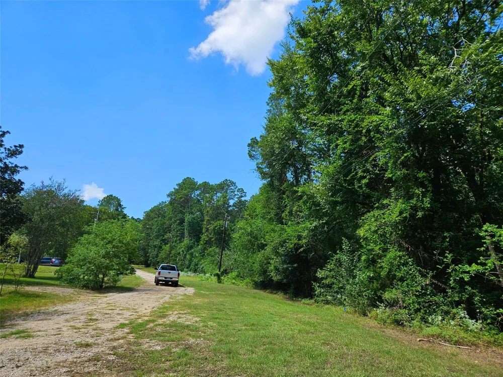 757 Thornwood Drive Coldspring, TX 77331
