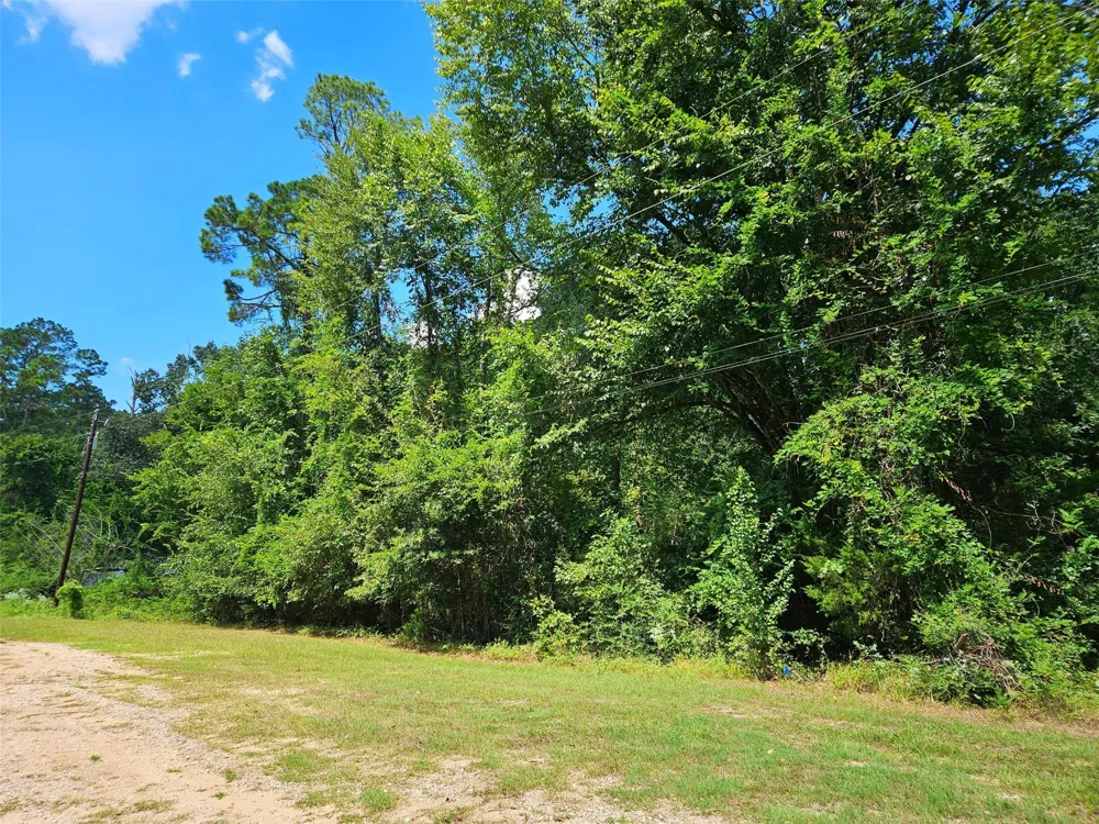 757 Thornwood Drive Coldspring, TX 77331