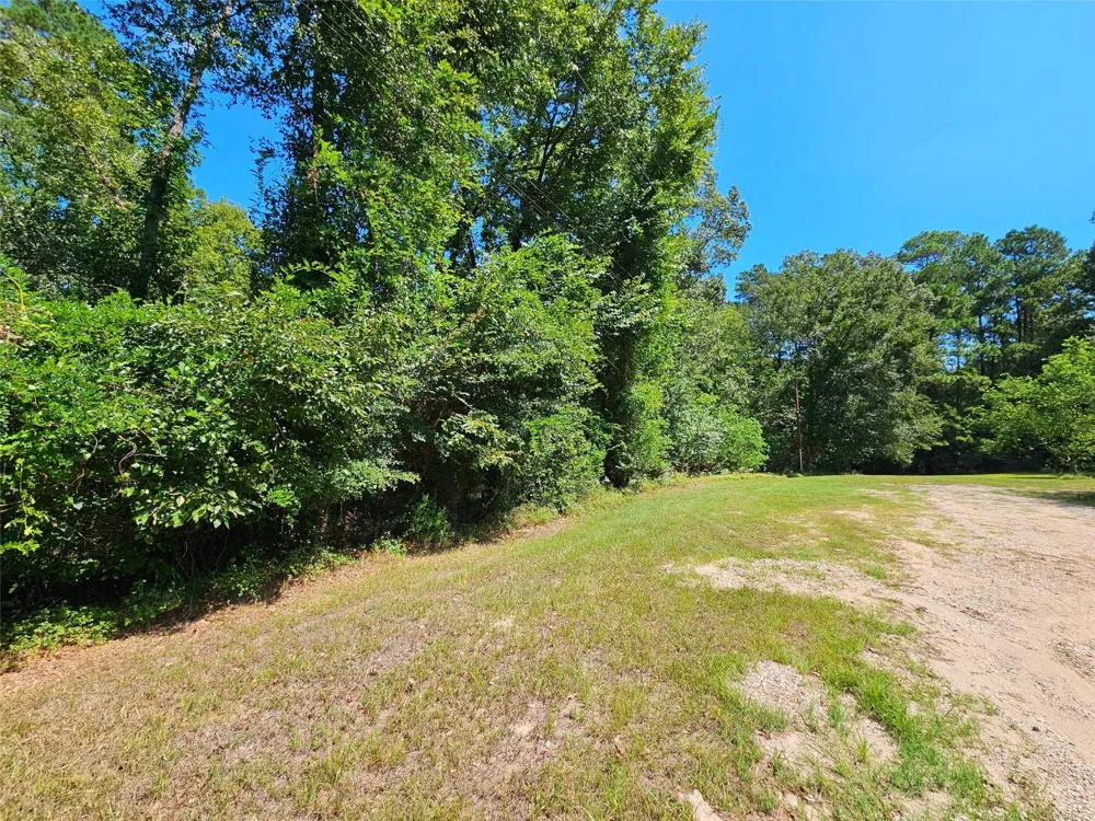 757 Thornwood Drive Coldspring, TX 77331