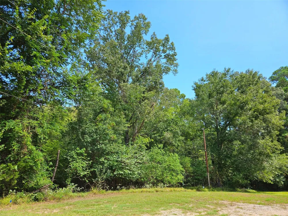 757 Thornwood Drive Coldspring, TX 77331