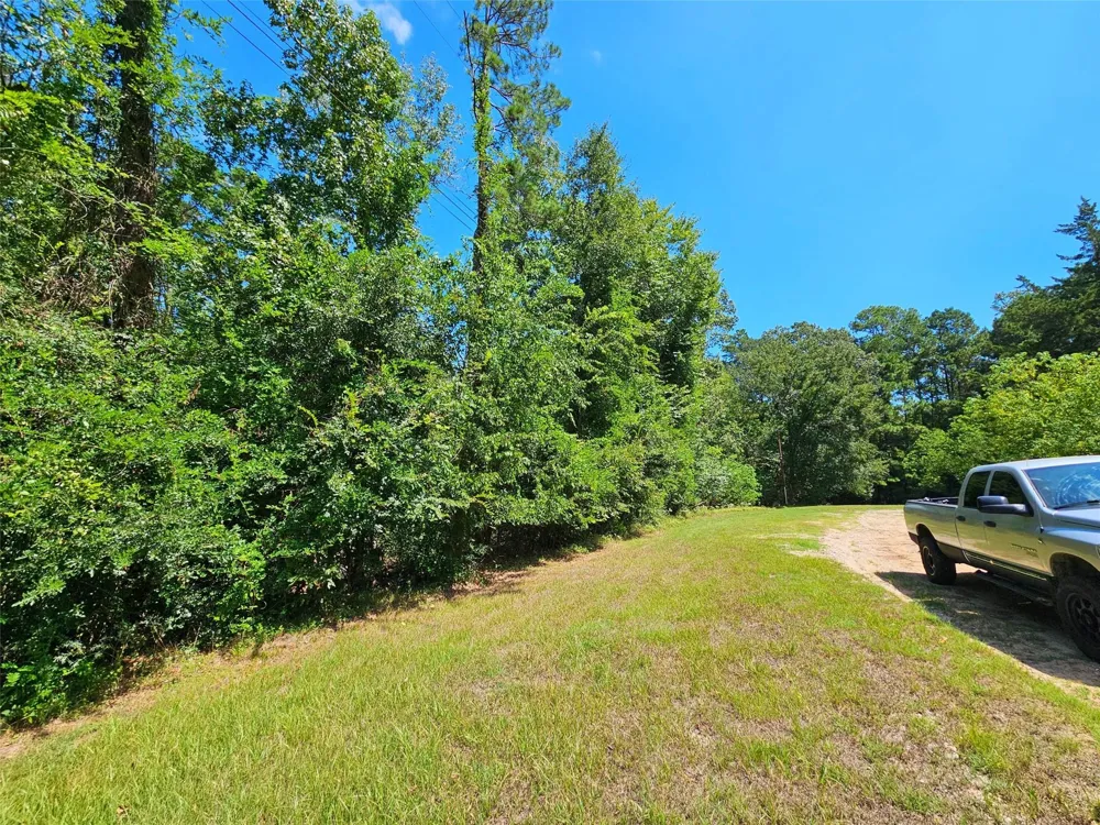 757 Thornwood Drive Coldspring, TX 77331