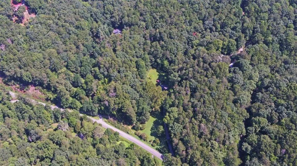 1374 Lucius Road Cherry Log, GA 30522