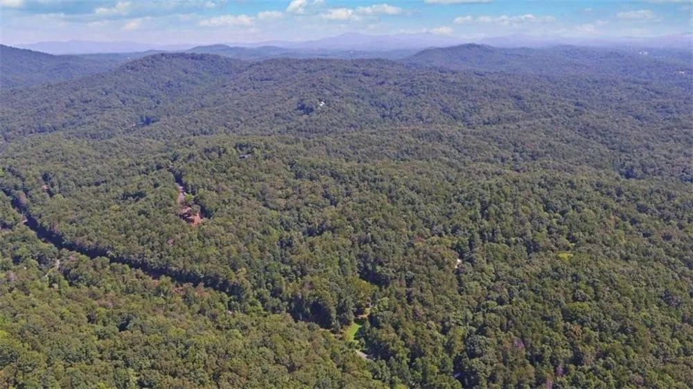 1374 Lucius Road Cherry Log, GA 30522