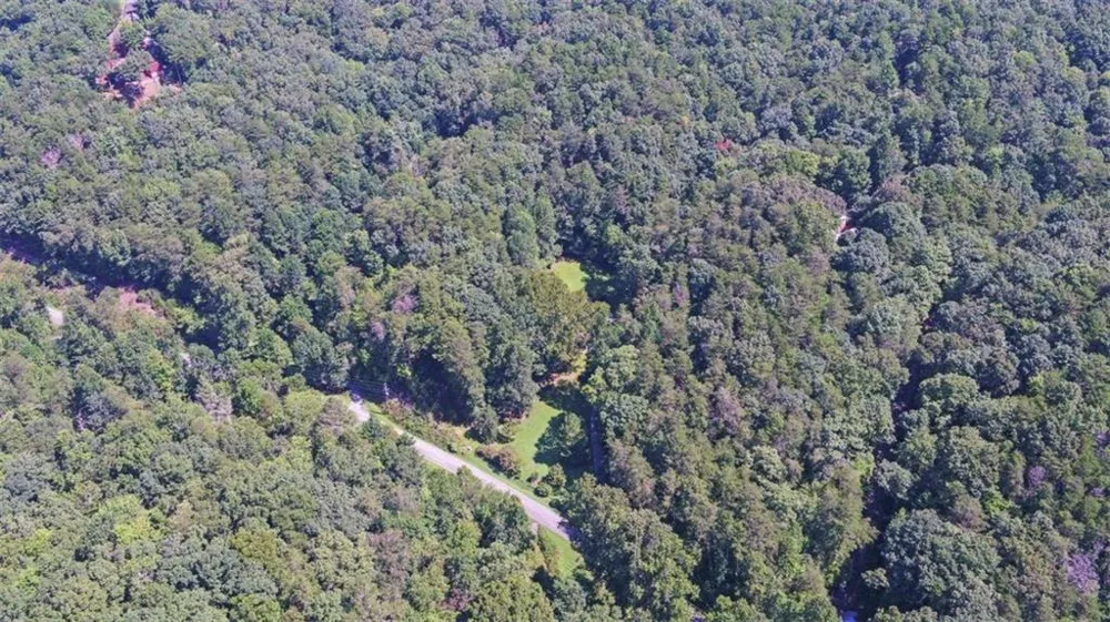 1374 Lucius Road Cherry Log, GA 30522