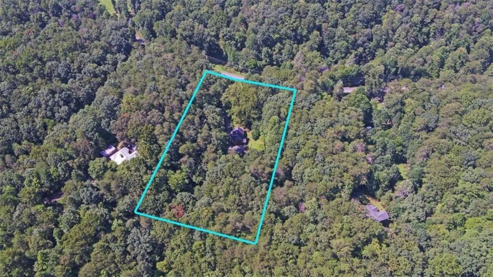 1374 Lucius Road Cherry Log, GA 30522