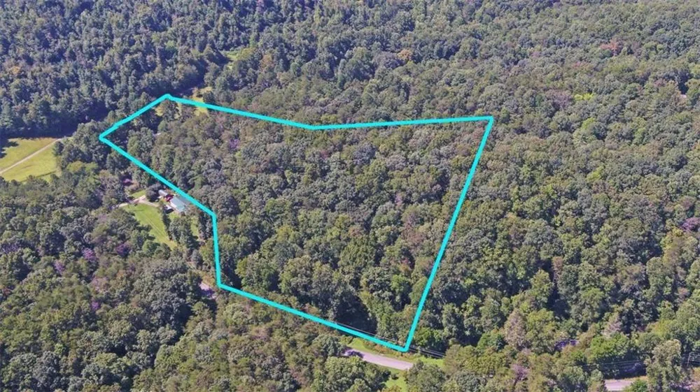 1374 Lucius Road Cherry Log, GA 30522