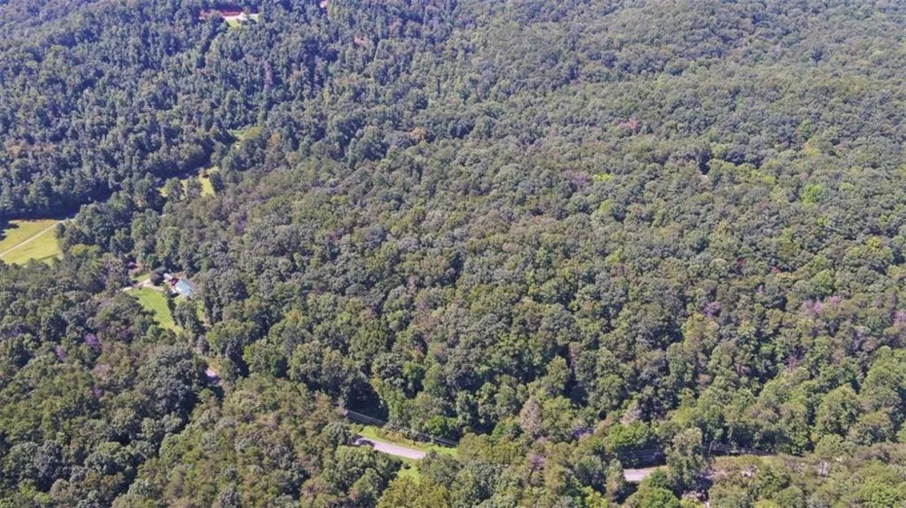 1374 Lucius Road Cherry Log, GA 30522