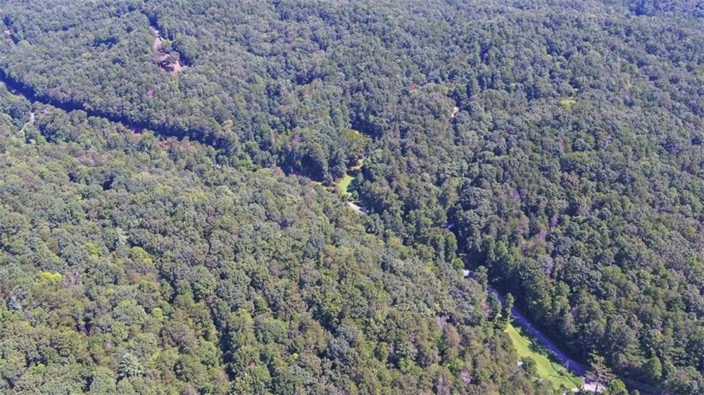 1374 Lucius Road Cherry Log, GA 30522