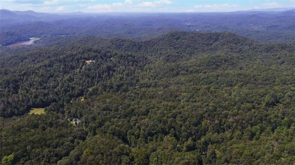1374 Lucius Road Cherry Log, GA 30522