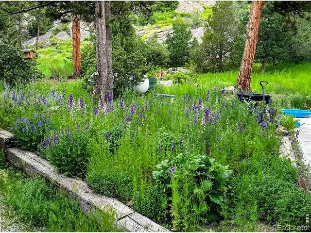 5 Mohawk Road Lyons, CO 80540
