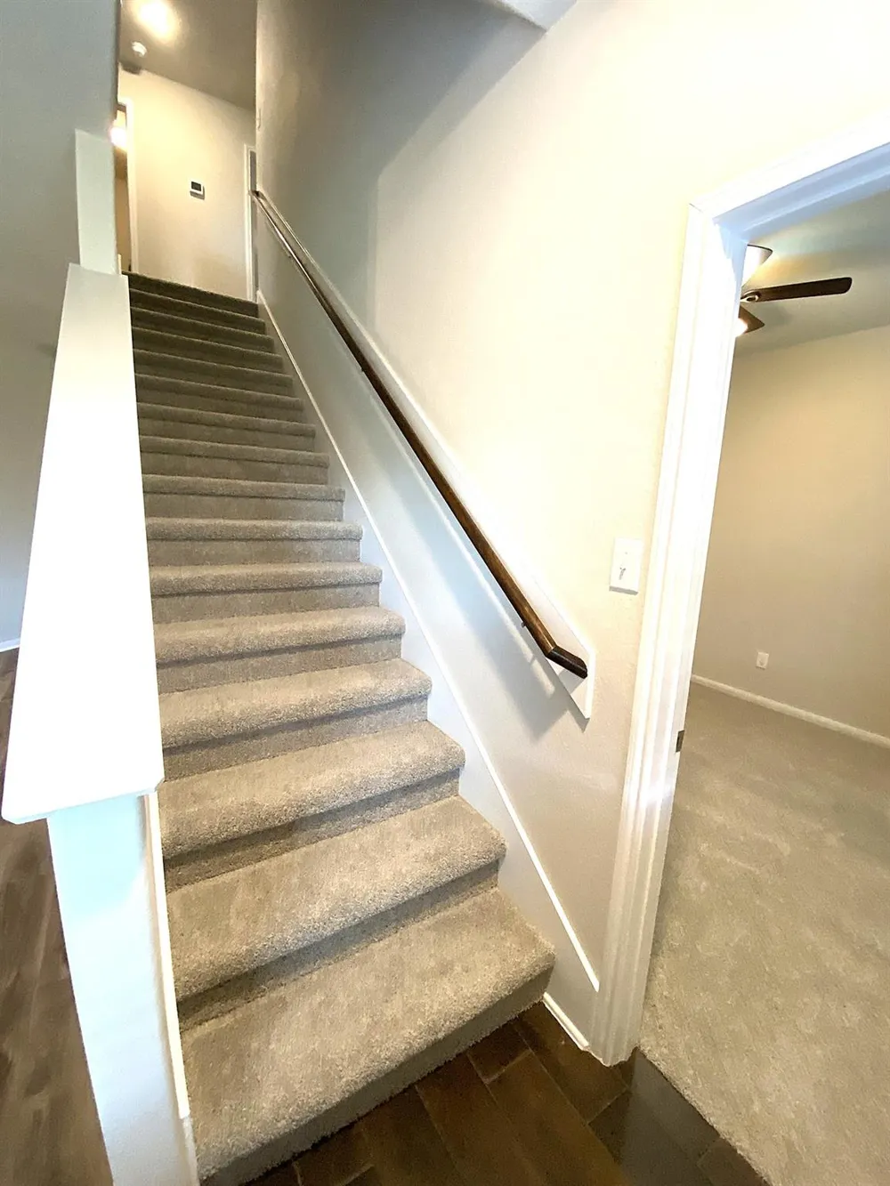 4323 Lotus Dale Drive Spring, TX 77373