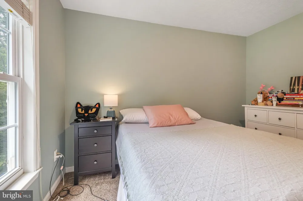 53 GOODWIN STREET Fredericksburg, VA 22406