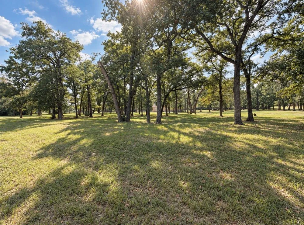 1343 Rocky Lane Bedias, TX 77831