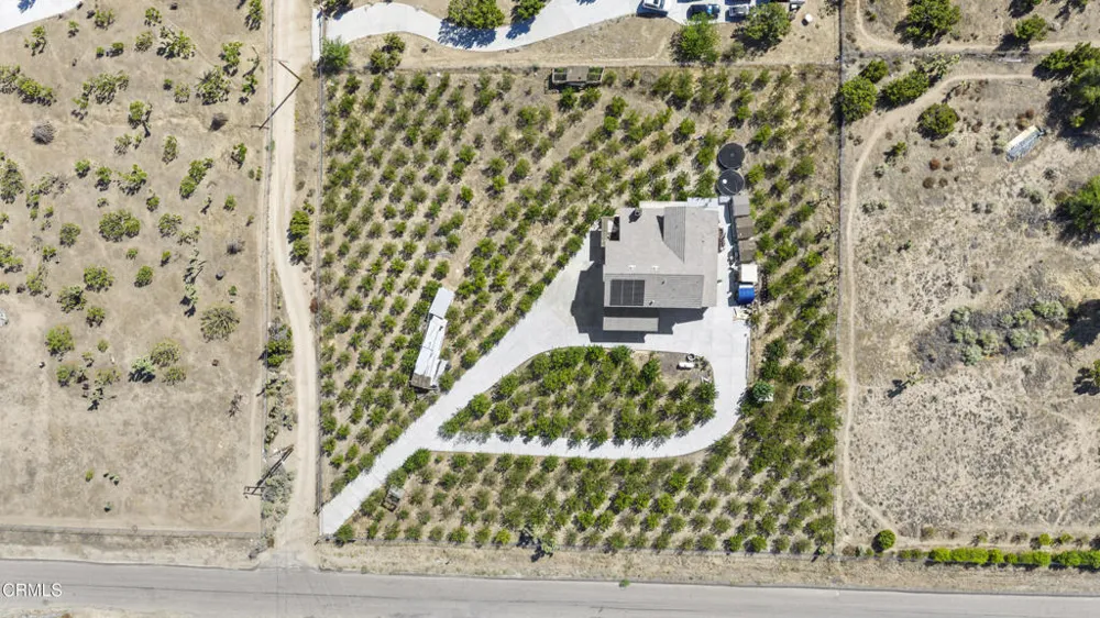8671 Deer Haven Drive Pinon Hills, CA 92372