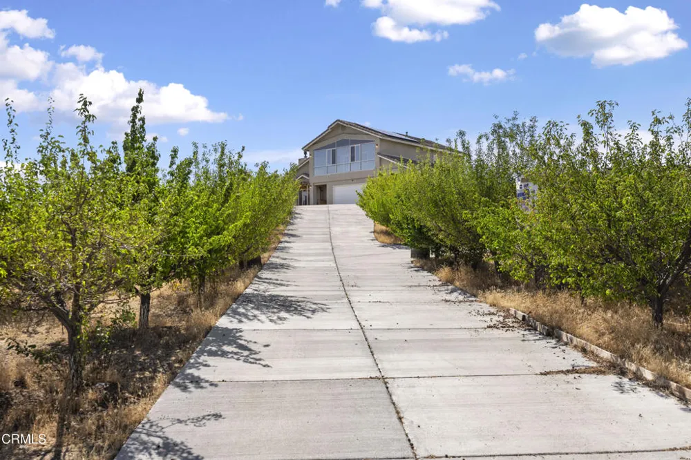 8671 Deer Haven Drive Pinon Hills, CA 92372