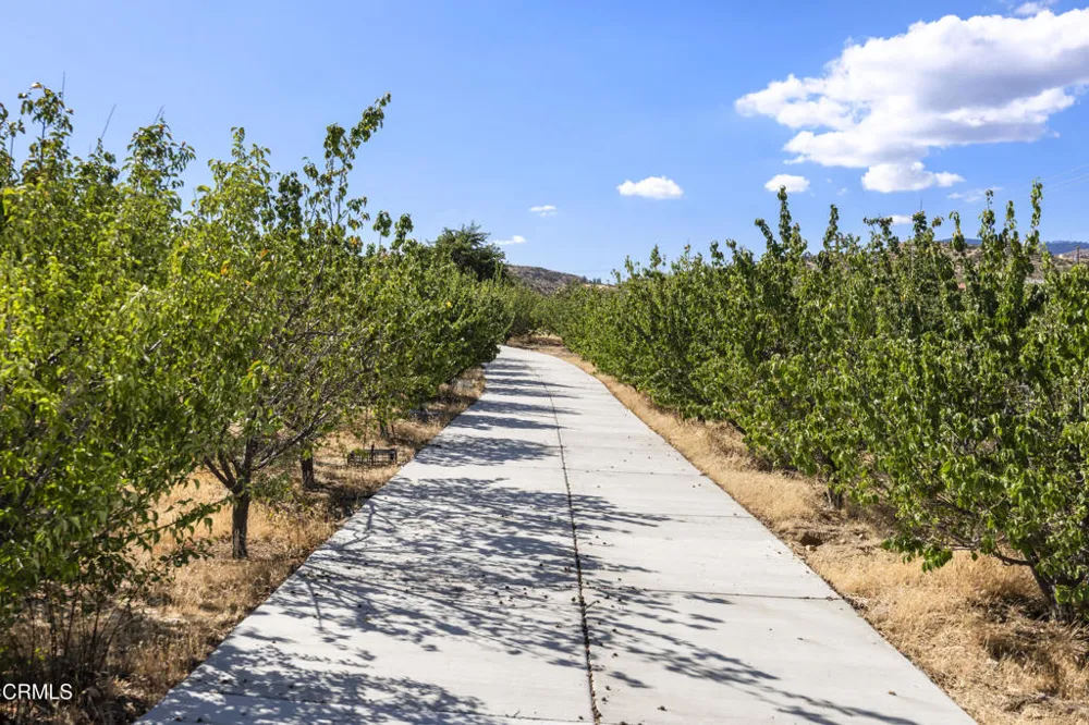 8671 Deer Haven Drive Pinon Hills, CA 92372