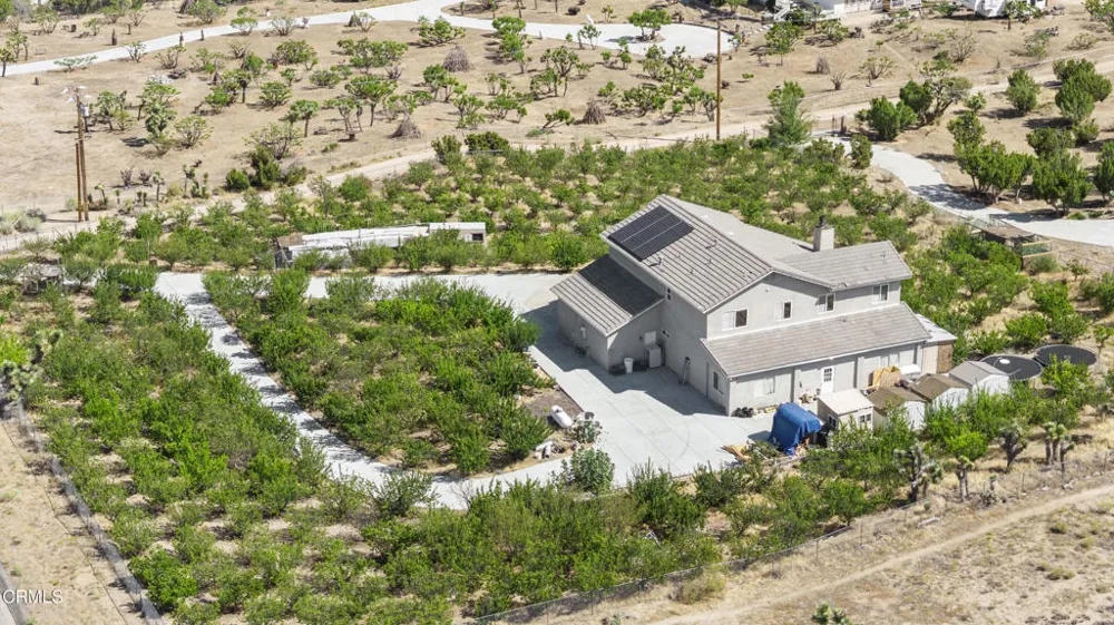 8671 Deer Haven Drive Pinon Hills, CA 92372