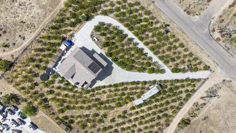 8671 Deer Haven Drive Pinon Hills, CA 92372