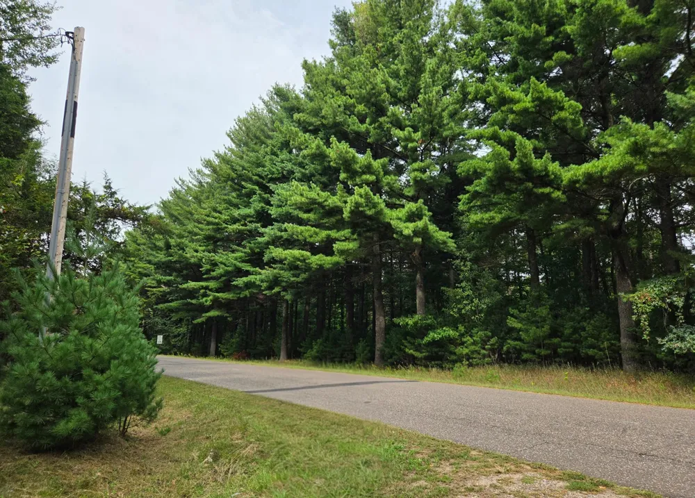 7220 237th Avenue NE Stacy, MN 55079