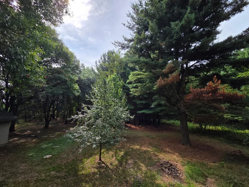7220 237th Avenue NE Stacy, MN 55079